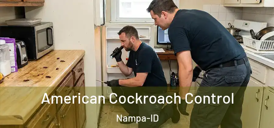  American Cockroach Control Nampa-ID
