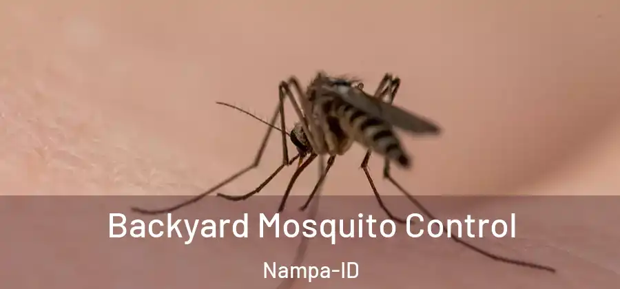 Backyard Mosquito Control Nampa-ID