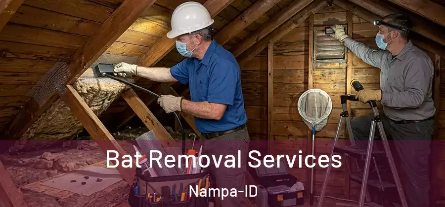  Bat Removal Services Nampa-ID