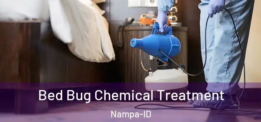 Bed Bug Chemical Treatment Nampa-ID
