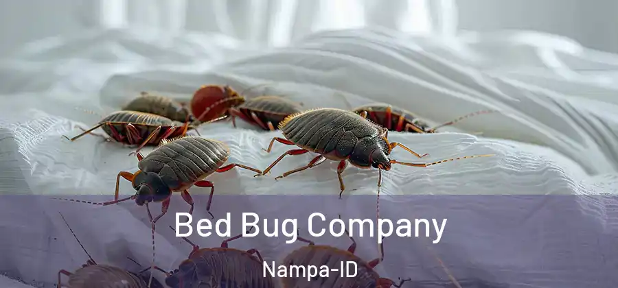 Bed Bug Company Nampa-ID