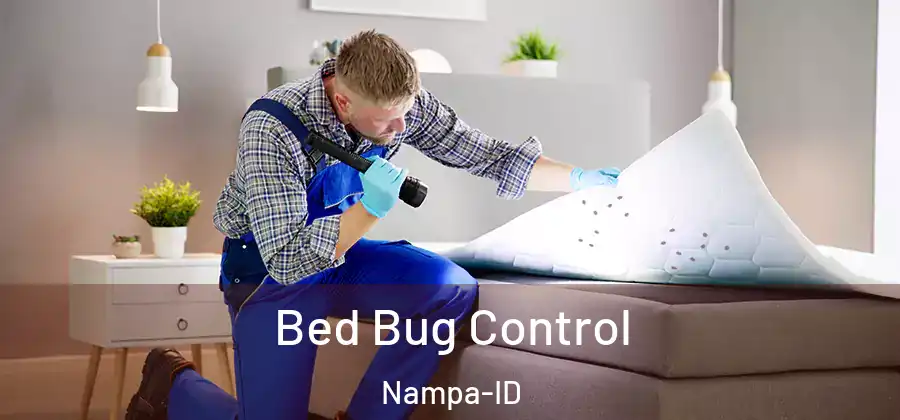  Bed Bug Control Nampa-ID