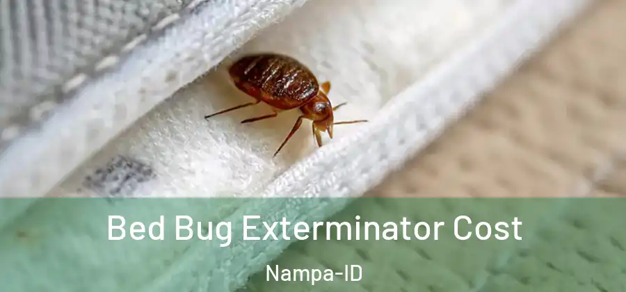 Bed Bug Exterminator Cost Nampa-ID