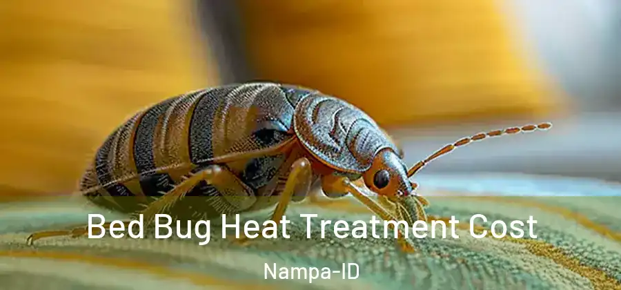 Bed Bug Heat Treatment Cost Nampa-ID