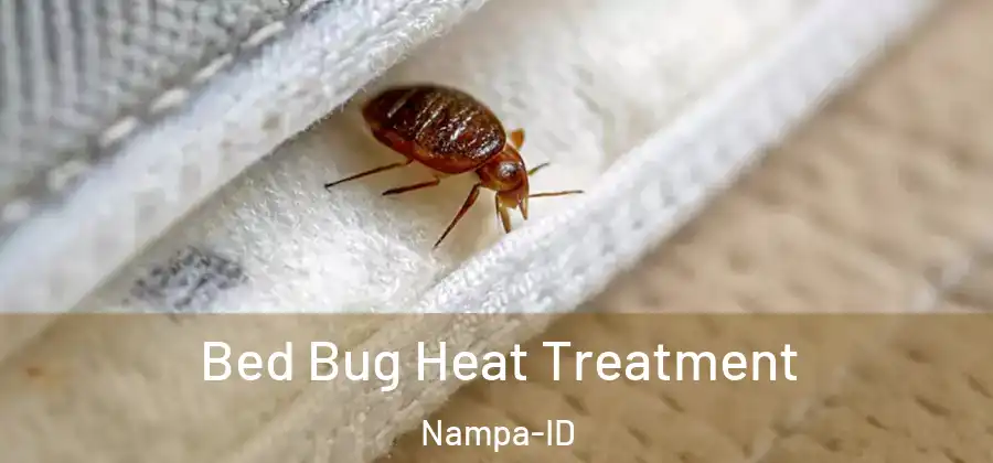 Bed Bug Heat Treatment Nampa-ID