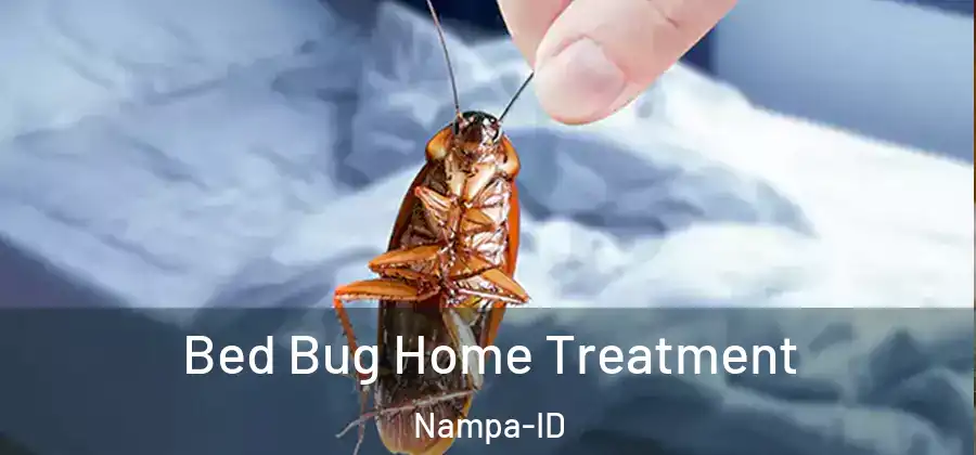 Bed Bug Home Treatment Nampa-ID