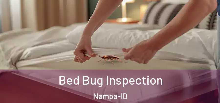  Bed Bug Inspection Nampa-ID