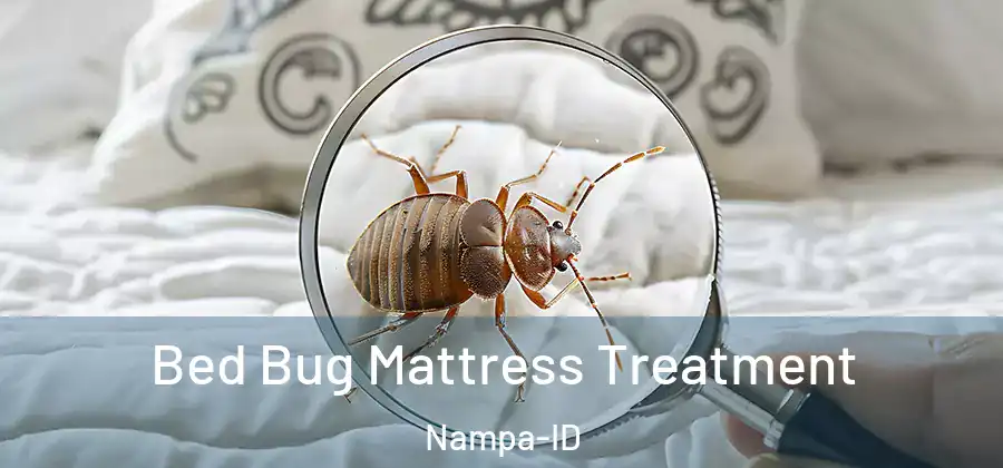  Bed Bug Mattress Treatment Nampa-ID