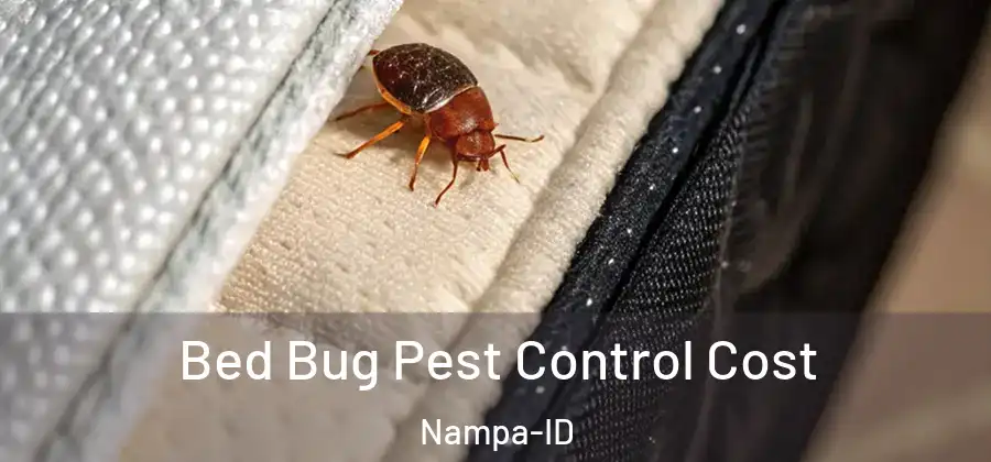 Bed Bug Pest Control Cost Nampa-ID