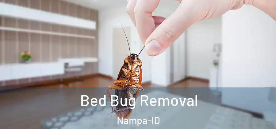  Bed Bug Removal Nampa-ID