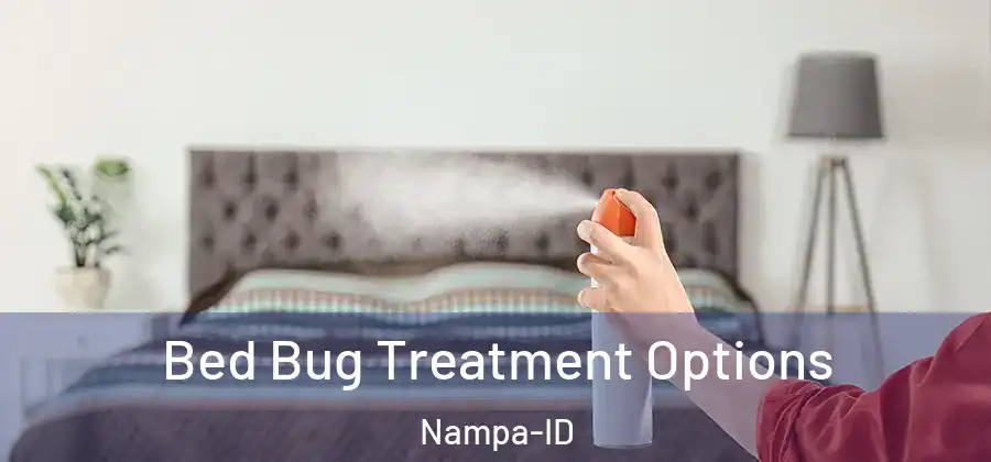 Bed Bug Treatment Options Nampa-ID