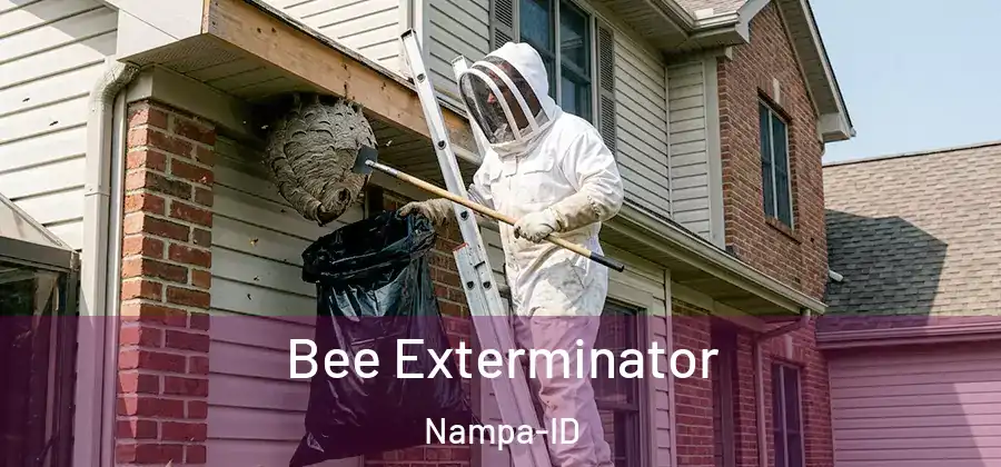  Bee Exterminator Nampa-ID