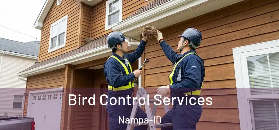 Bird Control Services Nampa-ID