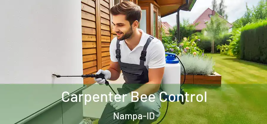 Carpenter Bee Control Nampa-ID