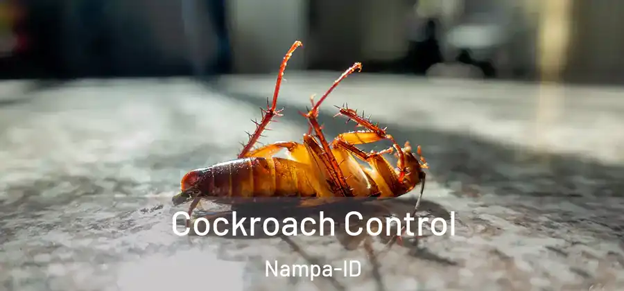  Cockroach Control Nampa-ID