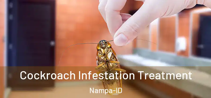  Cockroach Infestation Treatment Nampa-ID