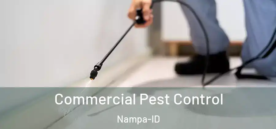 Commercial Pest Control Nampa-ID