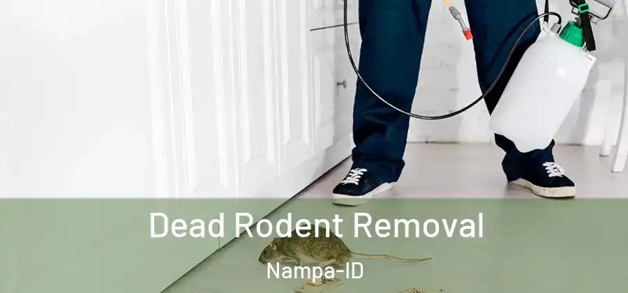 Dead Rodent Removal Nampa-ID