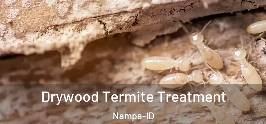 Drywood Termite Treatment Nampa-ID