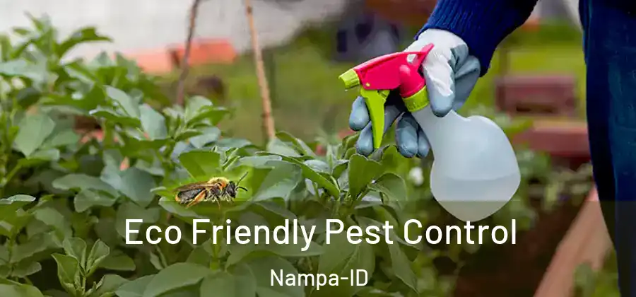 Eco Friendly Pest Control Nampa-ID