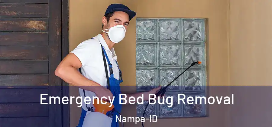 Emergency Bed Bug Removal Nampa-ID