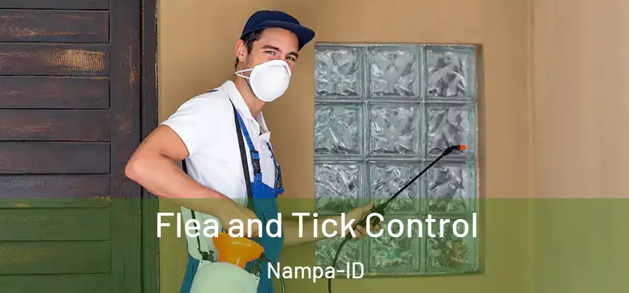 Flea and Tick Control Nampa-ID