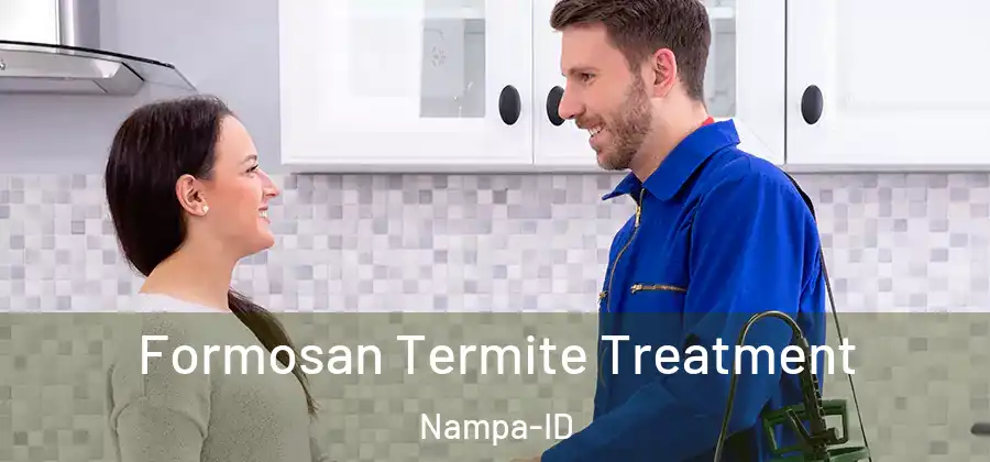 Formosan Termite Treatment Nampa-ID
