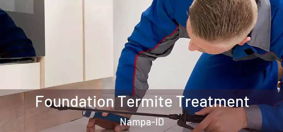 Foundation Termite Treatment Nampa-ID