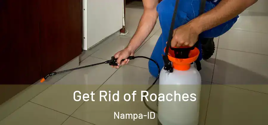 Get Rid of Roaches Nampa-ID