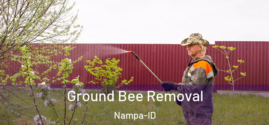 Ground Bee Removal Nampa-ID