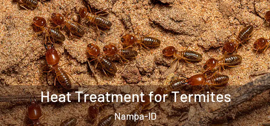 Heat Treatment for Termites Nampa-ID