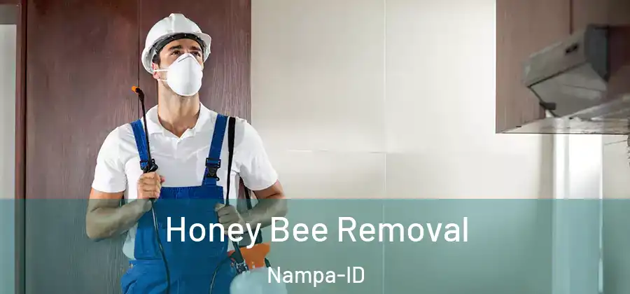 Honey Bee Removal Nampa-ID