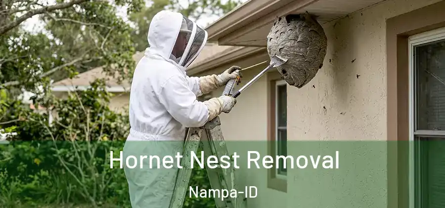 Hornet Nest Removal Nampa-ID