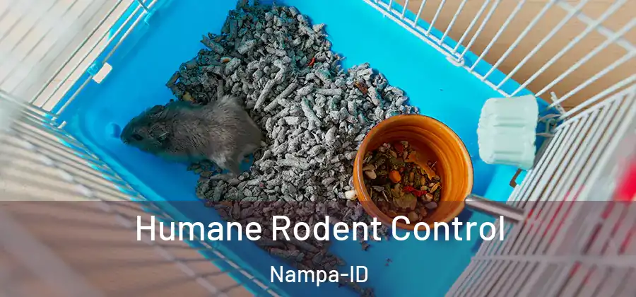  Humane Rodent Control Nampa-ID