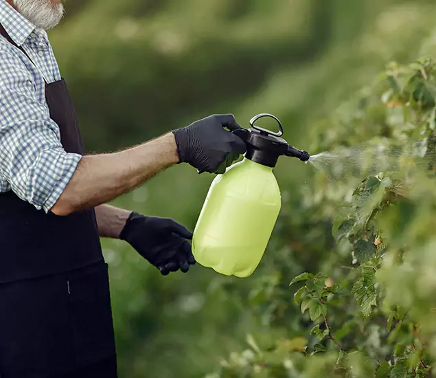 Your Proven Mosquito Treatment Company in Nampa, ID