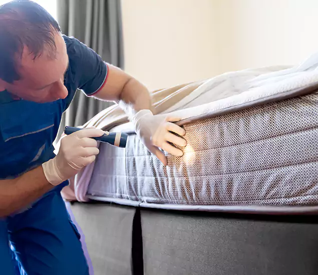 Trusted Bed Bug Cost Experts in Nampa, ID
