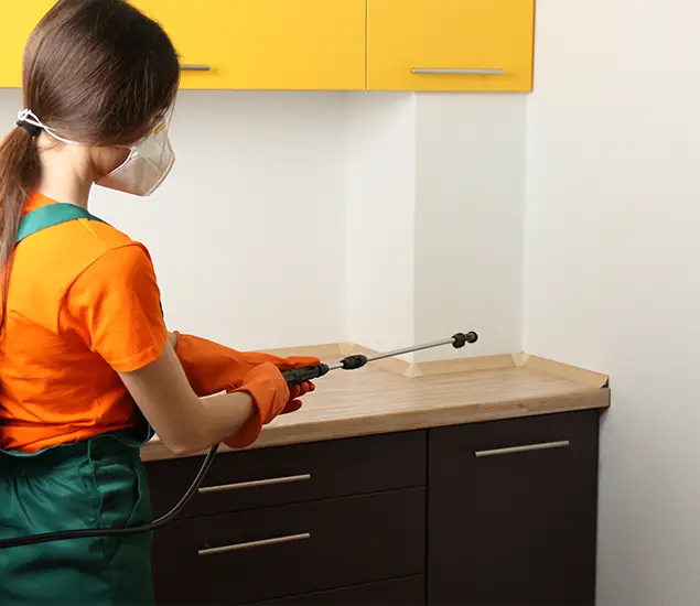 Trusted Bed Bug Pest Control Specialist in Nampa, ID