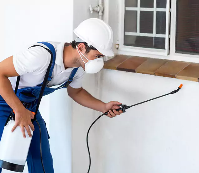 Your Professional Cockroach Exterminator in Nampa, ID