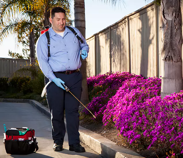 About Our Eco Safe Pest Control Experts in Nampa, ID