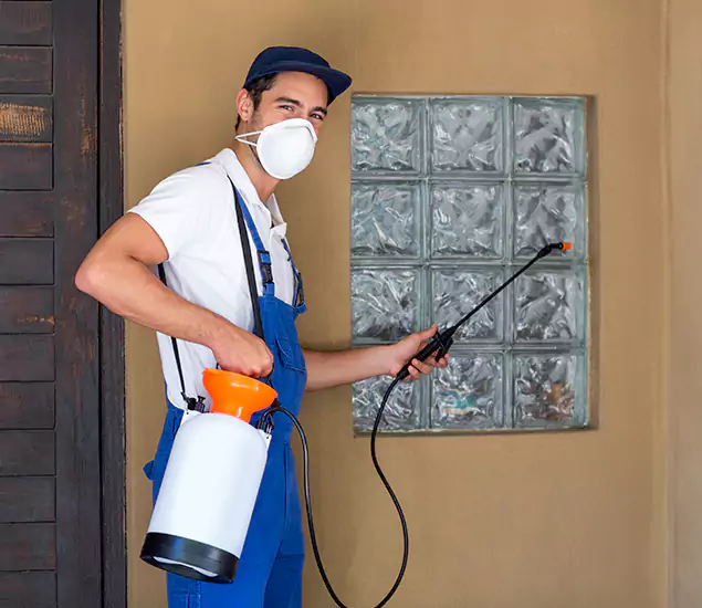 Your Reliable Pest Control in Nampa, ID