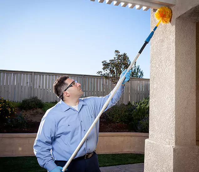 Trusted Experts in Nampa ID for Formosan Termite Treatment and Black Termite Control