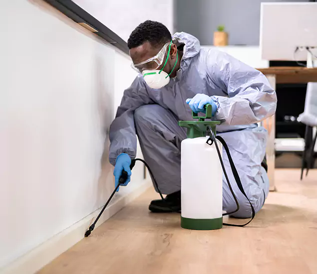 Leading Industrial Pest Control Experts Serving Nampa, ID