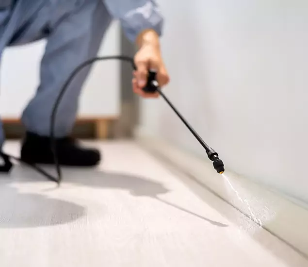 About Our Liquid Termite Treatment Experts in Nampa, ID