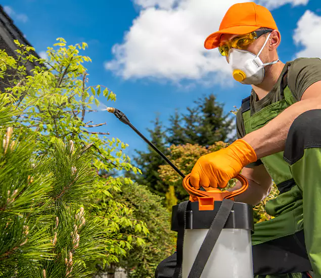 Your Mosquito Repellent Barrier Service in Nampa, ID