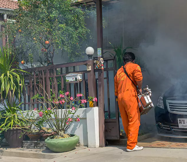 Your Proven Mosquito Fogging Company in Nampa, ID