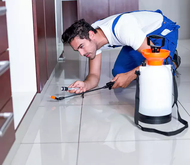 Reliable Professional Mouse Removal: Your Best Mouse Control Company in Nampa, ID
