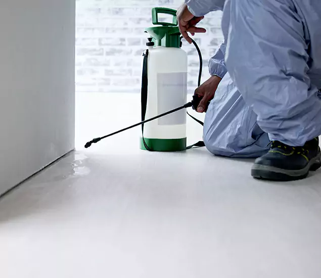 Affordable Pest Control Experts in Nampa, ID