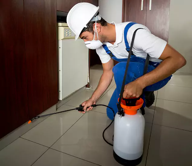 Advanced Termite Pre Treatment Experts in Nampa, ID