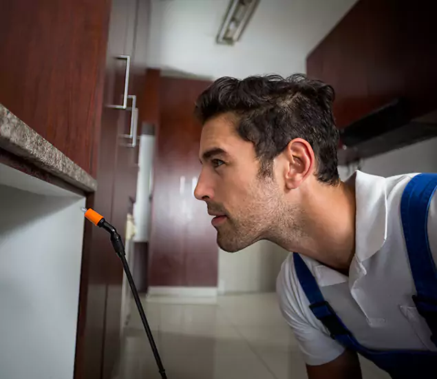 Expert Rodent in Attic Removal: Your Proven Pest Specialists in Nampa, ID