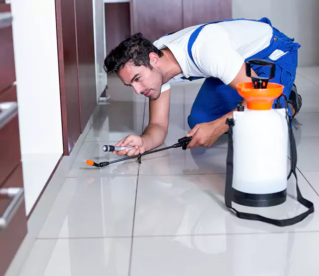 Advanced Slab Termite Treatment Experts You Can Trust&nbsp;in Nampa, ID